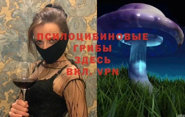 мдпв Михайлов