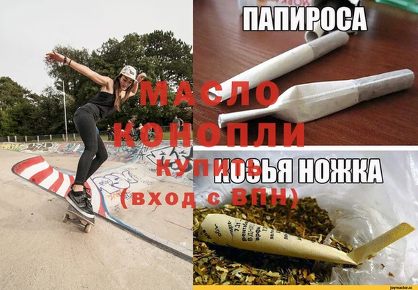 мдпв Михайлов