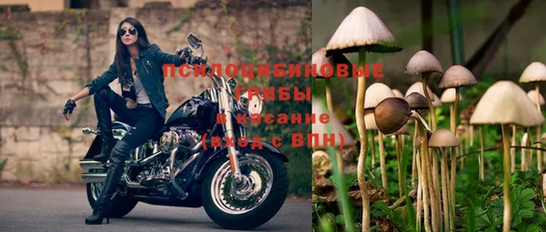 дурь Михайловка