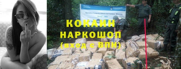 мдпв Михайлов