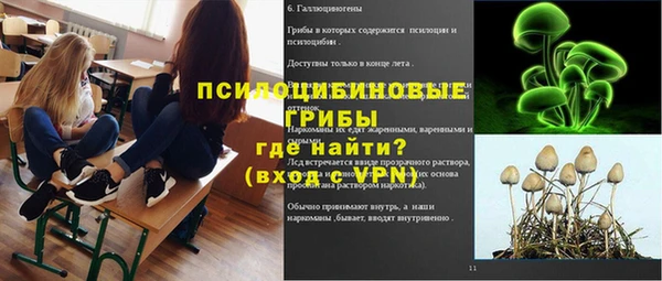 дмт Михайловск