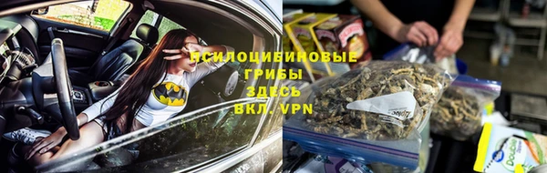 spice Медвежьегорск