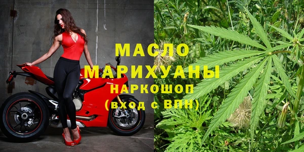 мдпв Михайлов