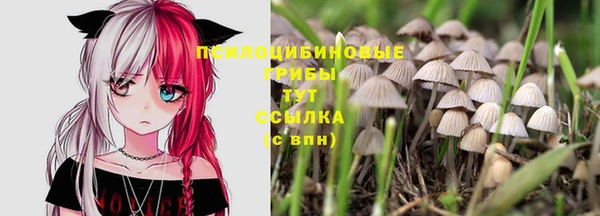 мдпв Михайлов