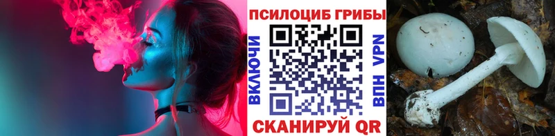 Псилоцибиновые грибы прущие грибы  Эртиль 